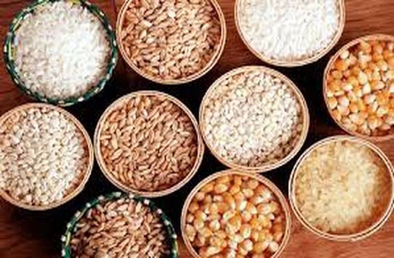 In Ayurveda, moderate use of coarse grains is beneficial in staying healthy
