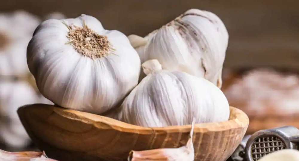 garlic.jpg