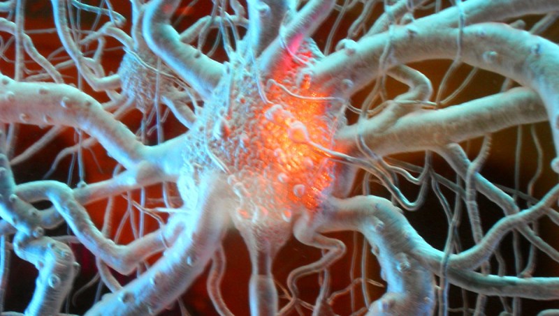 brain-cell.jpg