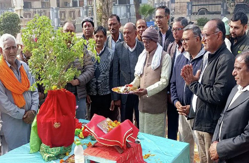 रोगनाशक व सुख-समृद्धि की प्रतीक है ‘हरिप्रिया’ तुलसी