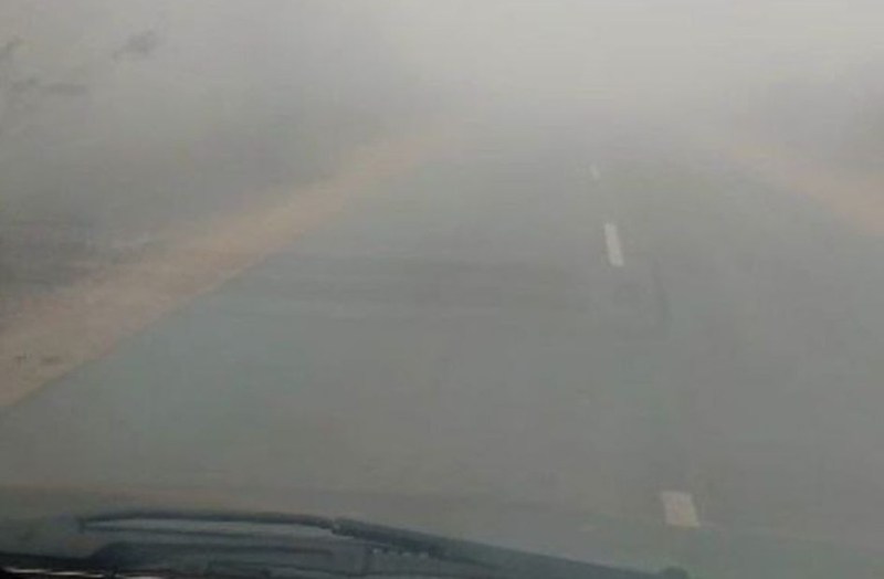 Rajasthan Weather Update fog cold wave weather forecast