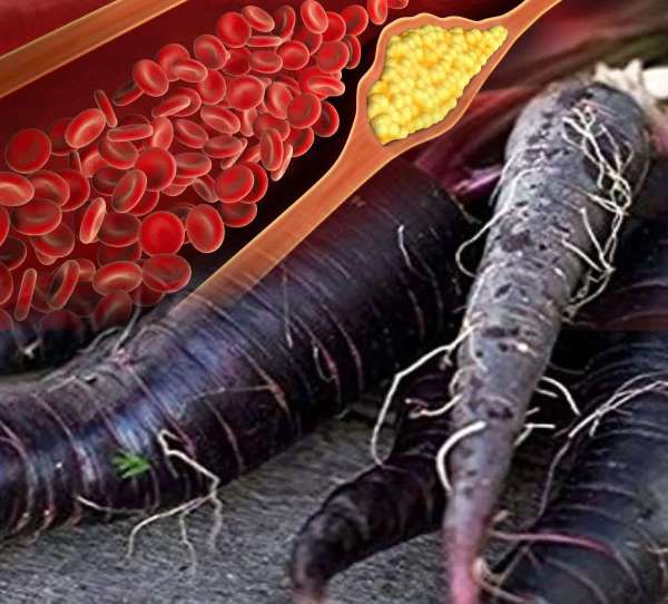 black-carrot-for-cholestero.jpg