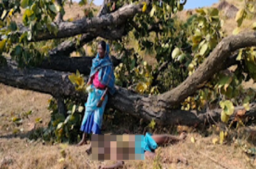पेड़ काटते थक गया तो उसी की छाया में करने लगा विश्राम, अचानक पेड़ ने ही ले ली जान