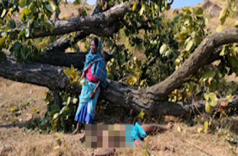 पेड़ काटते थक गया तो उसी की छाया में करने लगा विश्राम, अचानक पेड़ ने ही ले ली जान