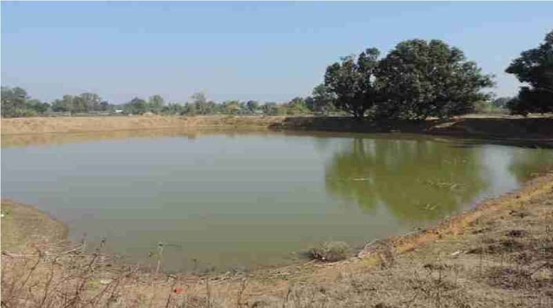 पानी की कमी से निपटने कृत्रिम तालाब बनाएगा एनइसीएफ