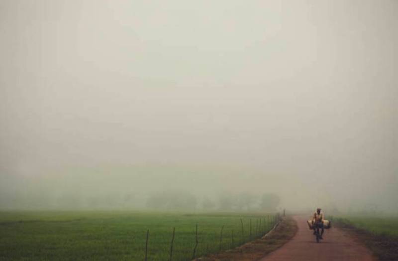 imd_big_update_severe_fog_and_cold_heavy_rain_yellow_alert_in_madhya_pradesh.jpg