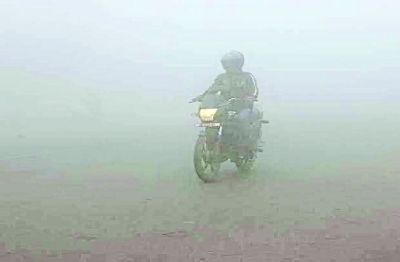 Short video poster image