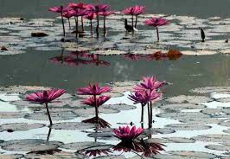 बच्चों की जिद पूरी करने के चक्कर में चली गई पिता की जान, मातम में बदलीं नए साल की खुशियां