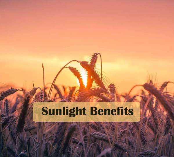 sunlight-benefits.jpg