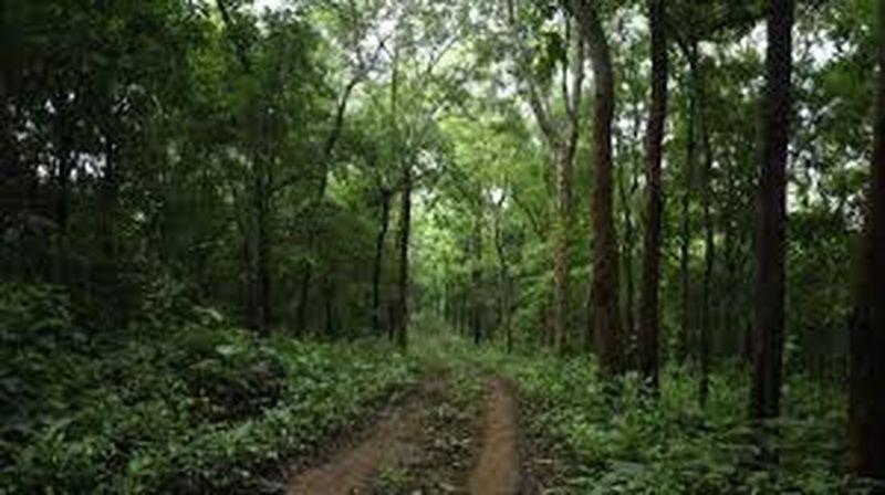 विकास कार्यों की दौड़ में एनसीआर बना गैस चैम्बर