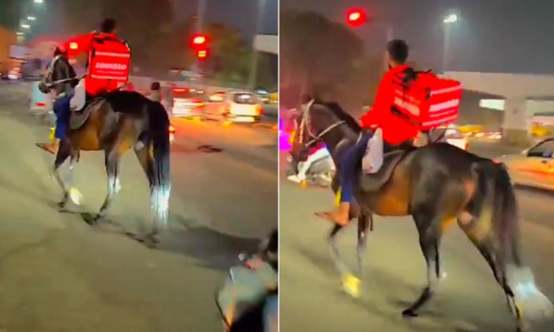 zomato_delivery_boy_on_horse_ride55.jpg
