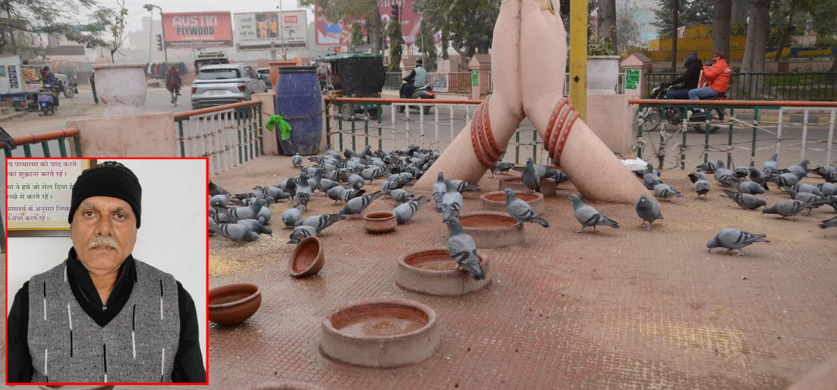 City of rajasthan where pigeons drink RO water, crows eat kheer-paneer