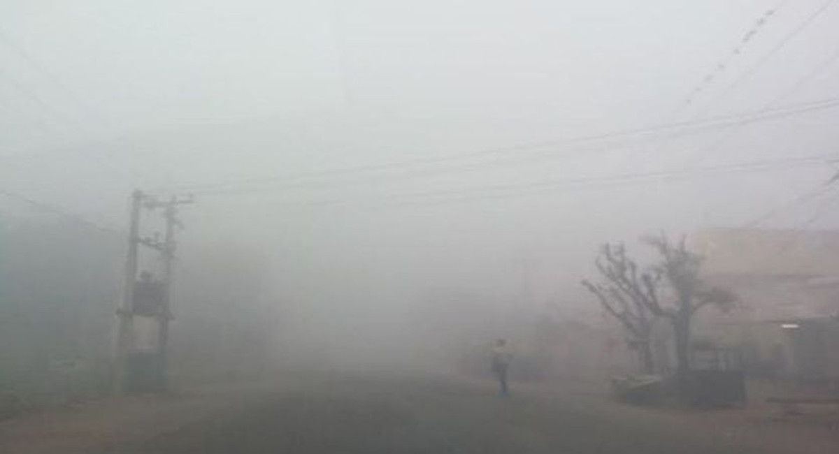 Fog Becomes Challenge For Farmers In Kota