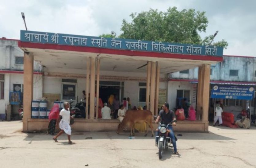 Road Accident: यहां बाइक सवार वृद्ध की मवेशी की चपेट से तो घायल युवक की उपचार के दौरान हुई मौत