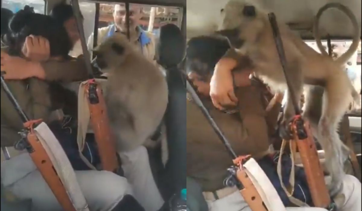 पुलिस वैन में घुसकर महिला सिपाहियों को किस करने लगा बंदर, वीडियो वायरल