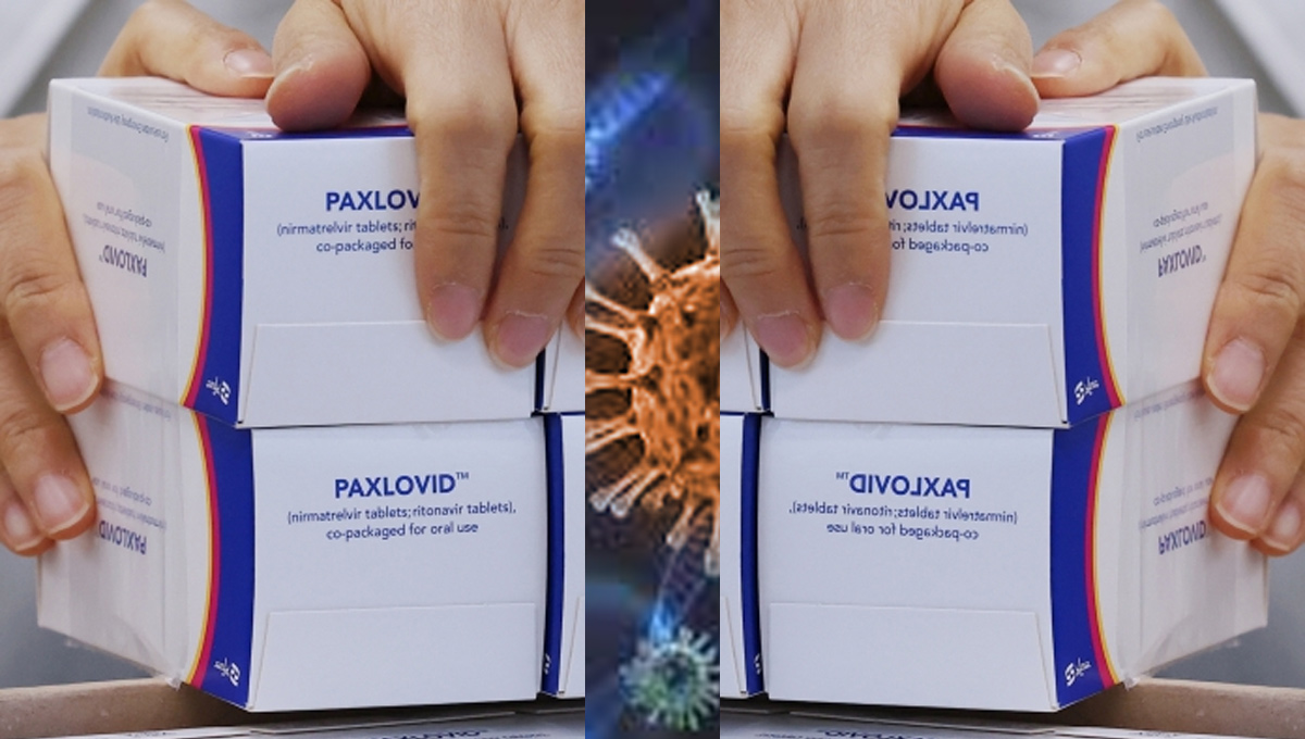pfizer-paxlovid.jpg