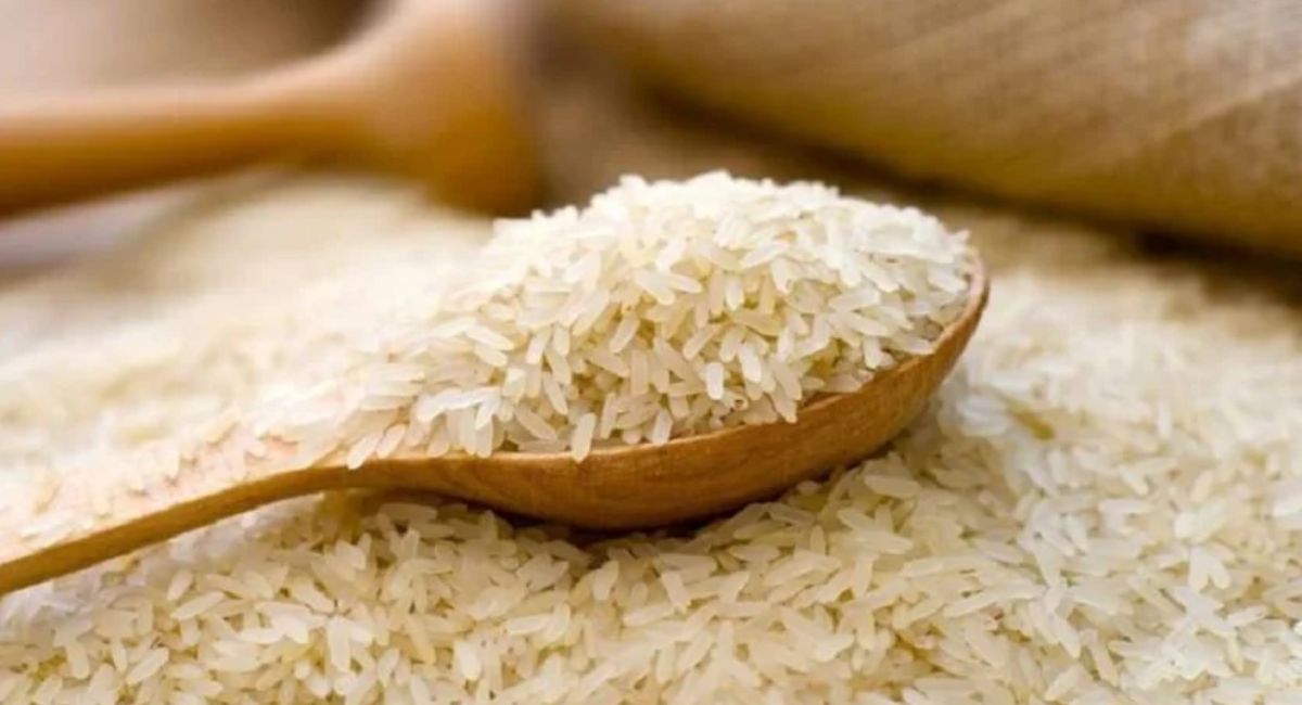rice_photo_.jpg