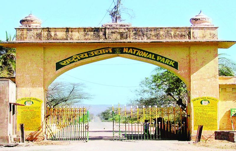 बाहर नहीं निकल पा रहा सरिस्का का इको सेंसेटिव जोन