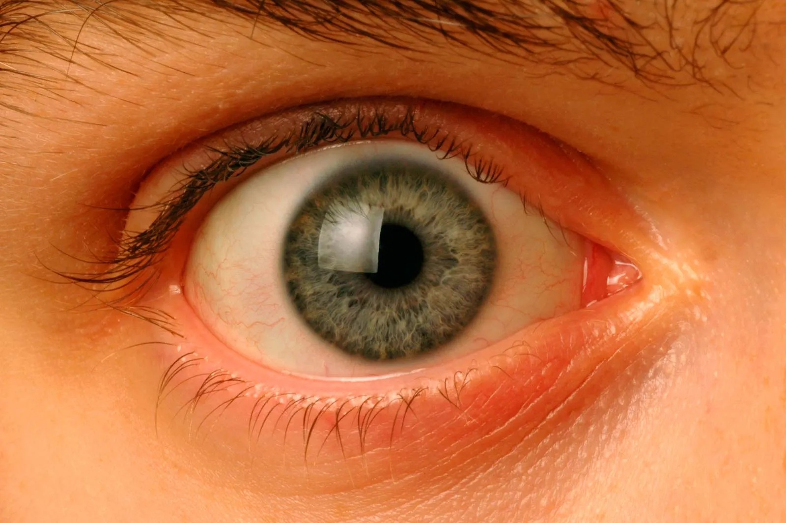 eye_1.jpg