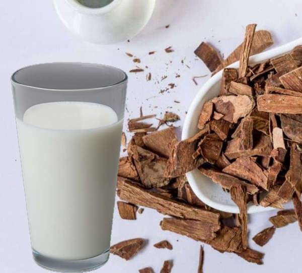 arjuna-bark-with-milk.jpg