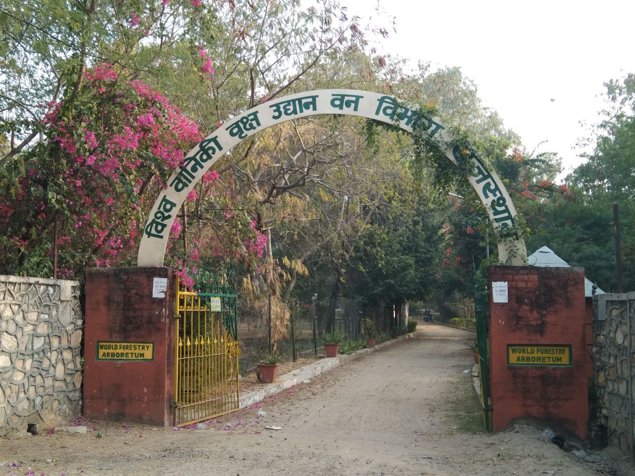 विश्व वानिकी वृक्ष उद्यान वन विभाग राजस्थान