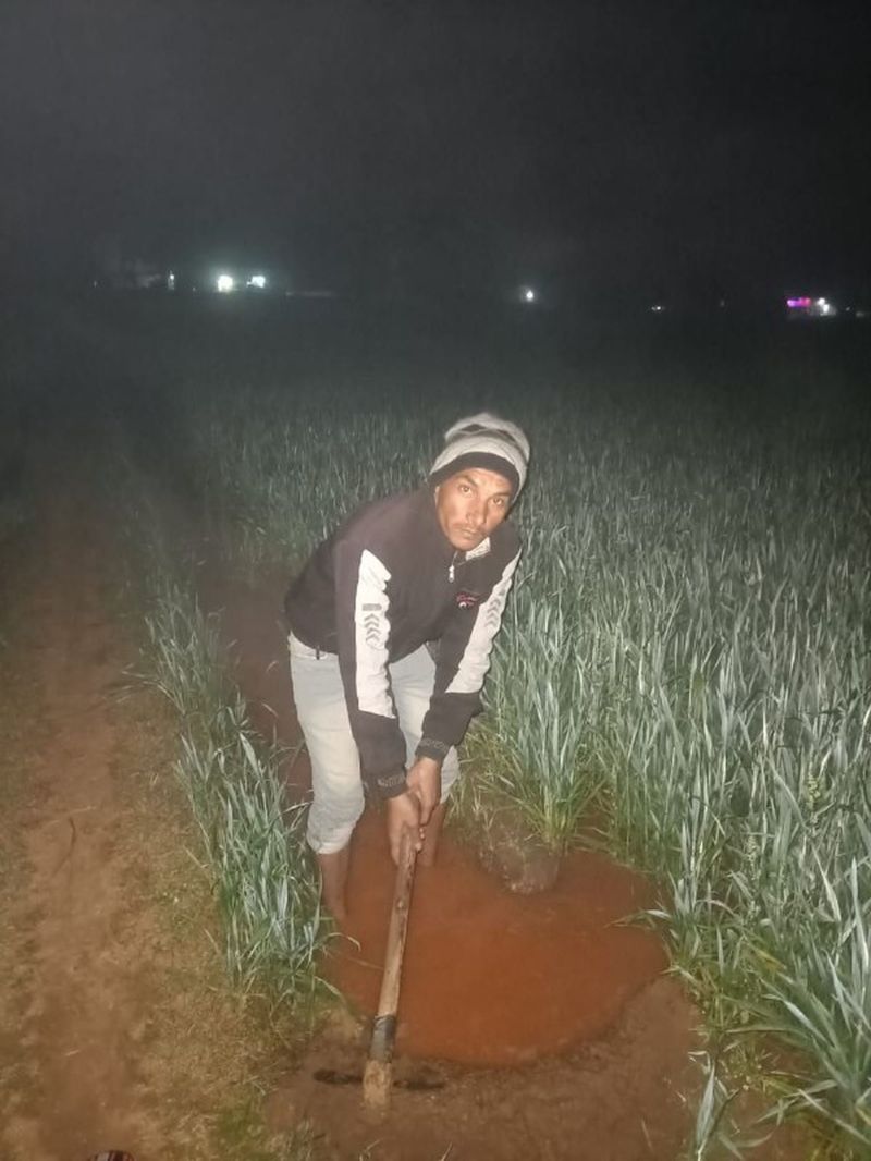 किसानों को दिन में नहीं मिल सकेगी बिजली