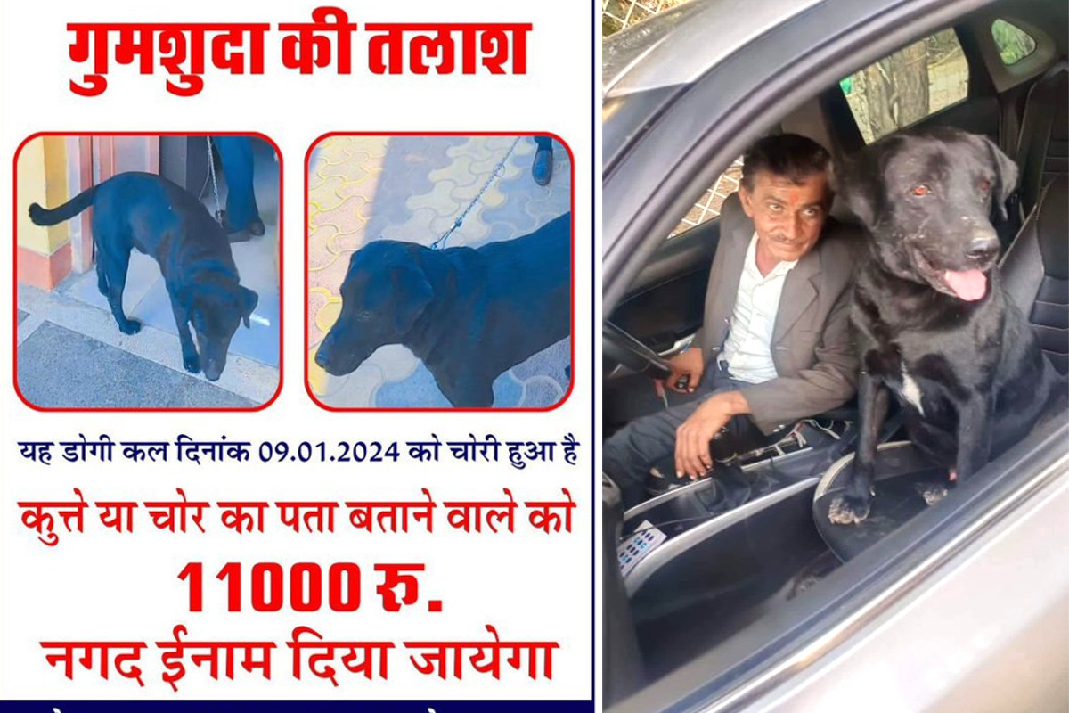 Officer's missing dog found 11 thousand cash reward in Sanchore