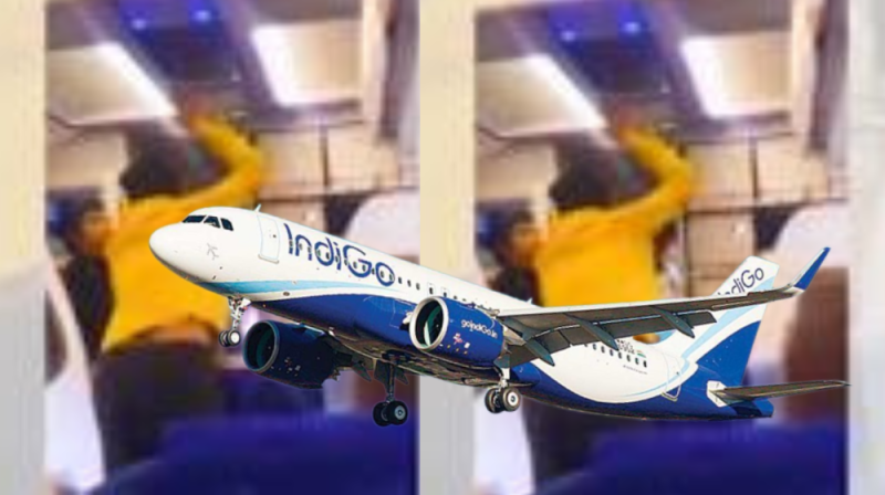 indigo_online_flight_booking_flier_hits_pilot_after_13_hour_flight_delay.png