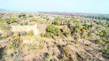 जिले में बनेंगे 7 रिजर्व कंजर्वेशन, वन्यजीवों के रहवास का दायरा बढ़ेगा
