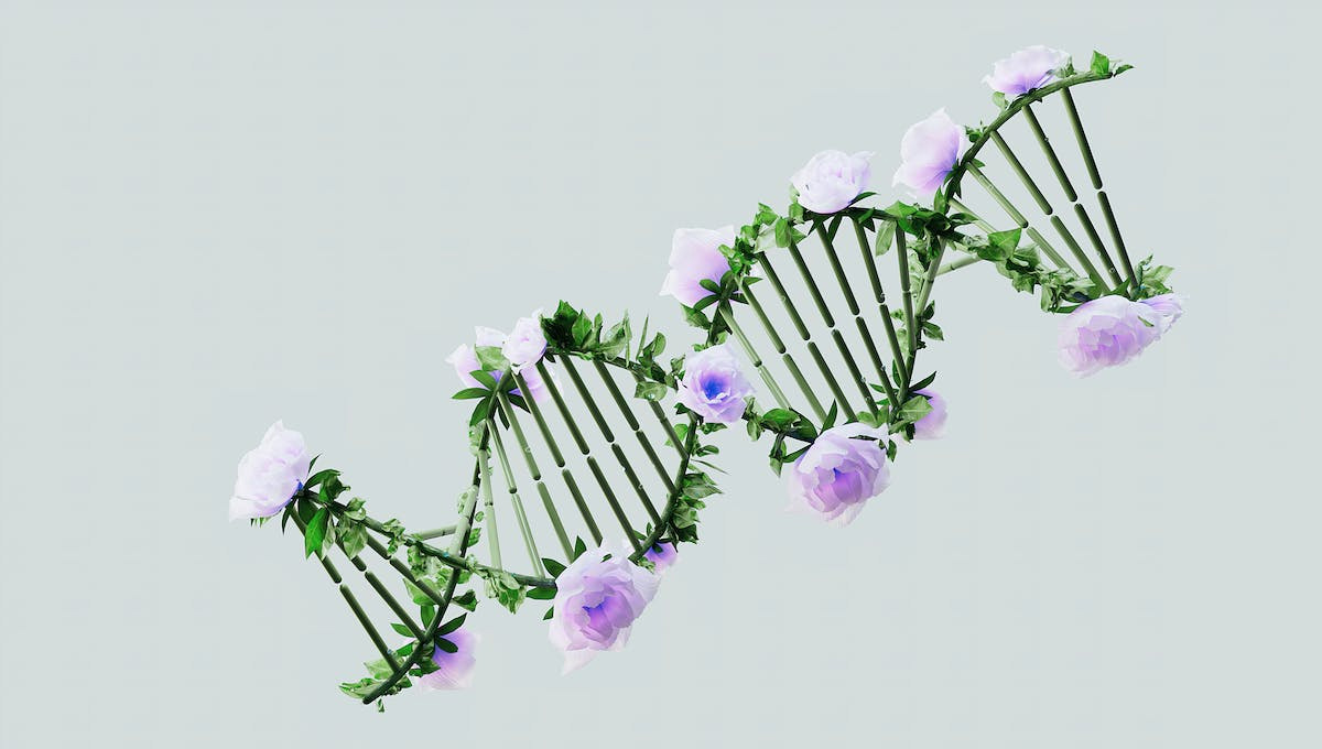 dna.jpg