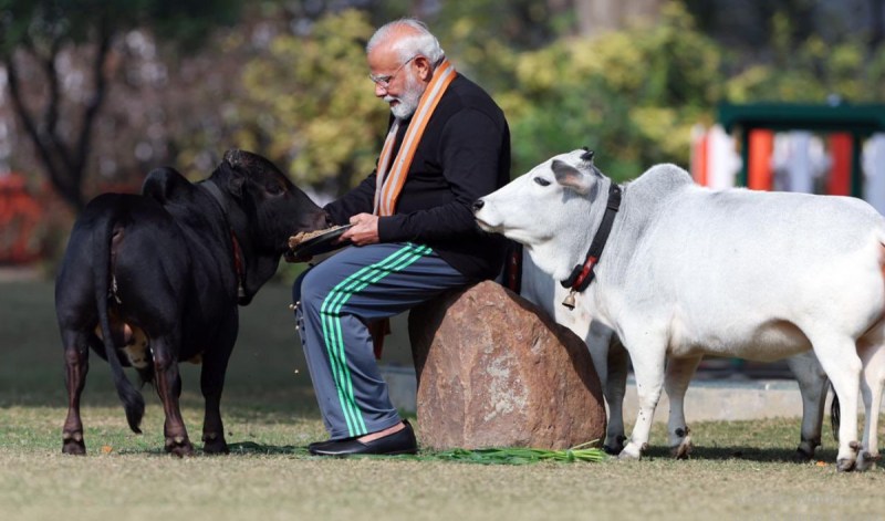 pm_narendra_modi_with_punganur_cow.jpg