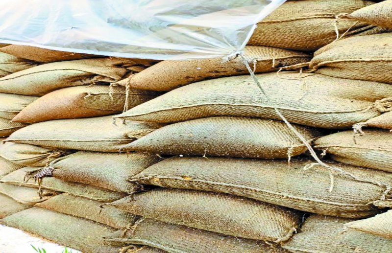 बेमौसम बारिश : 23 लाख 85 हजार 548 क्विंंटल से अधिक धान केवल कैपकवर के भरोसे