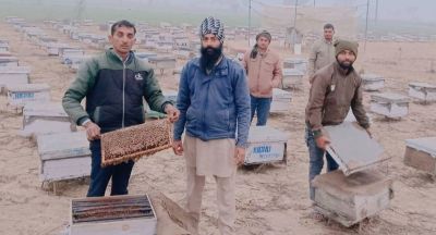 rajasthan_beekeepers_worried.jpg