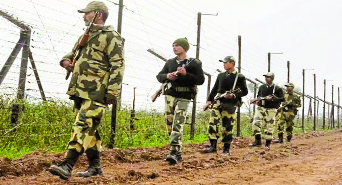bsf.jpg