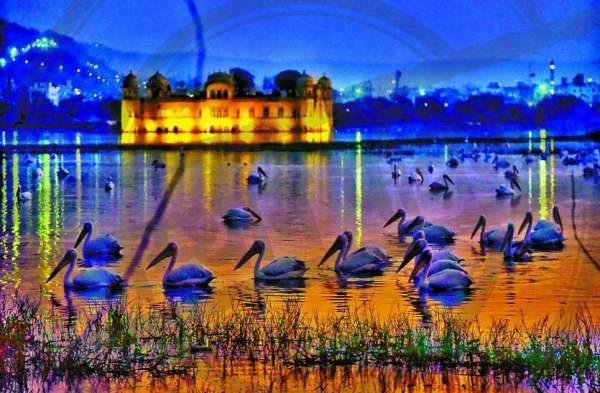 jal_mahal_jaipur_1.jpg