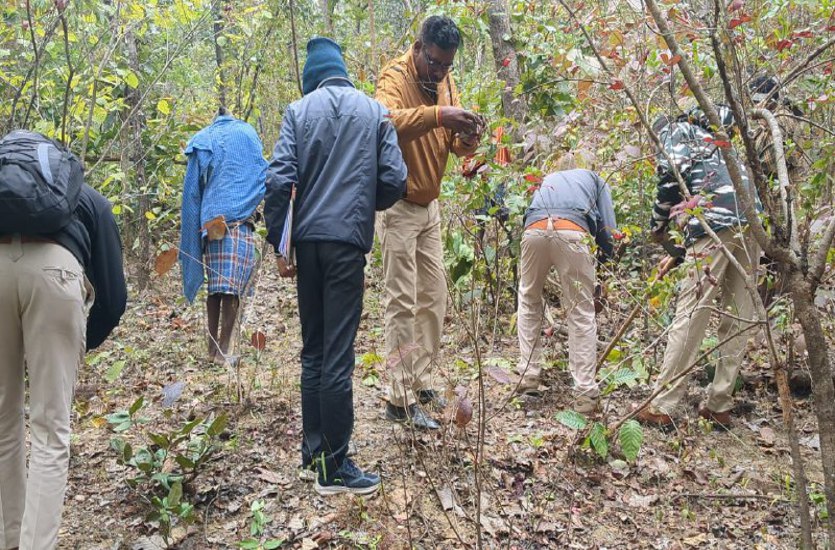 जंगलीसुअर ने मवेशी चराने जंगल गए ग्रामीण को मार डाला, मौत से पहले दोनों में जमकर हुआ संघर्ष
