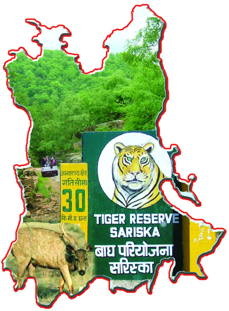 फ्री गैस कनेक्शन के बाद भी गांव नहीं हो रहे धुआं मुक्त