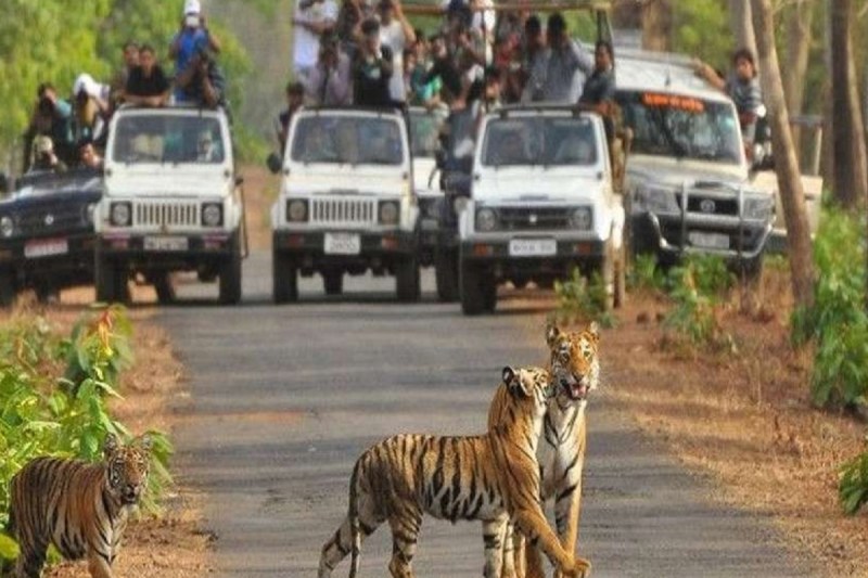 ranthambore_tiger_reserve.jpg