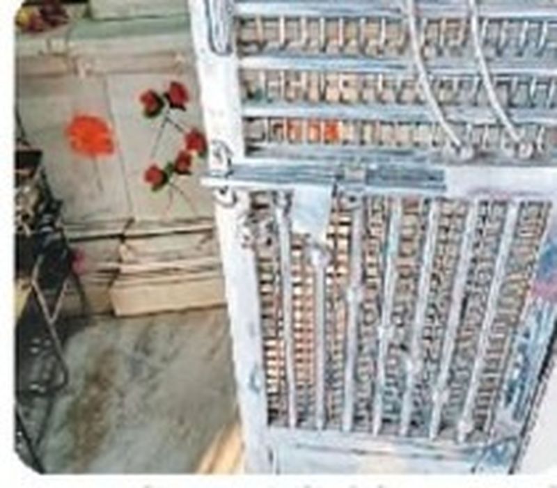 VIDEO हनुमान मंदिर का ताला तोड़कर मूर्ति व चांदी के मुकुट ले उड़े चोर, पुलिस गश्त की खुली पोल