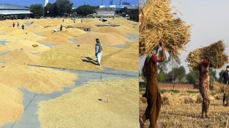 rajasthan_farmers.jpg