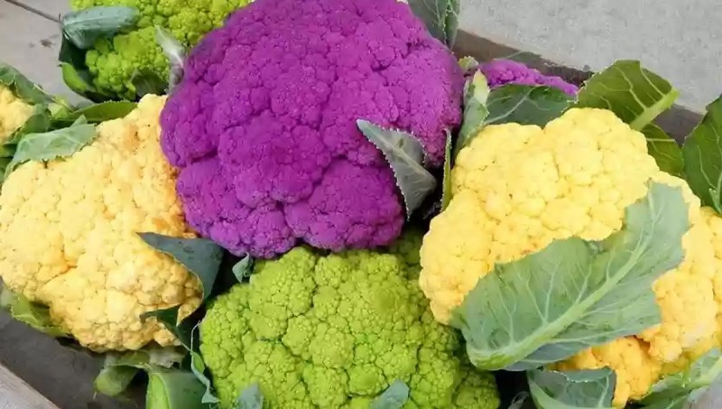 colorful-cauliflower.jpg