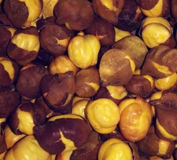 roasted-chana-for-diabetes.jpg