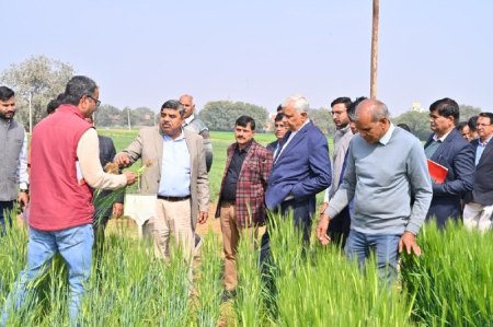 रूफटॉप फार्मिंग और एग्रो टूरिज्म को देंगे बढ़ावा- डॉ. किरोड़ीलाल