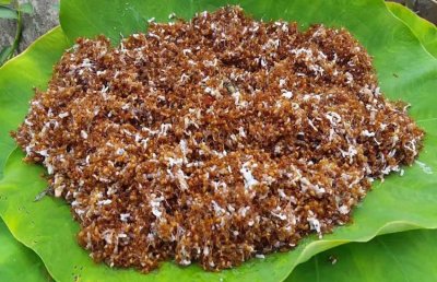 ओडिशा के जनजातिय समुदाय में लोकप्रिय चापड़ा चटनी