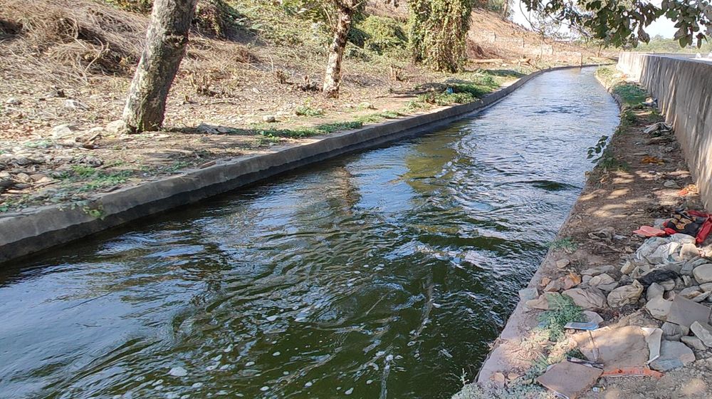 इस जिले की नहरों को फिर खोलनी पड़ी, यह है कारण...देखें वीडियो