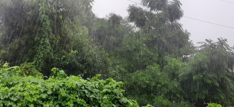 Meteorological department alert