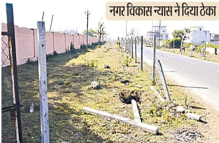 ना बचे पौधे और ना ही तारबंदी, 30 हजार पौधे लगाने का था ठेका