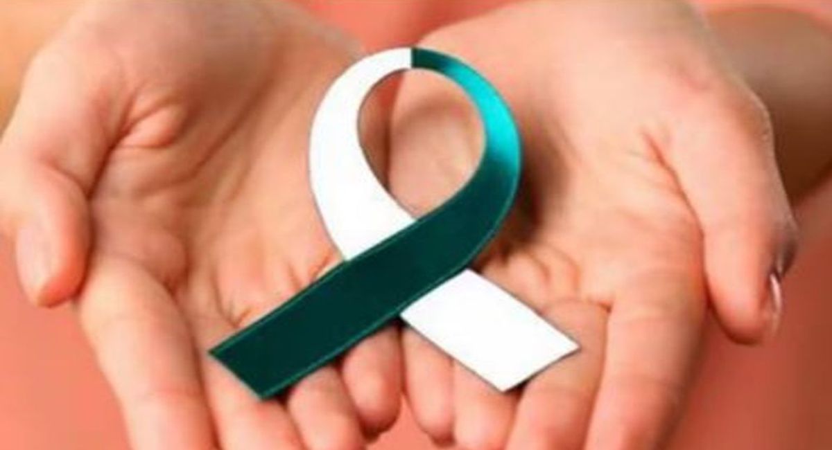 World Cancer Day: राजस्थान में तेजी से बढ़ रहा कैंसर, महिला मरीजों की संख्या
अधिक, रोग के ये है कारण