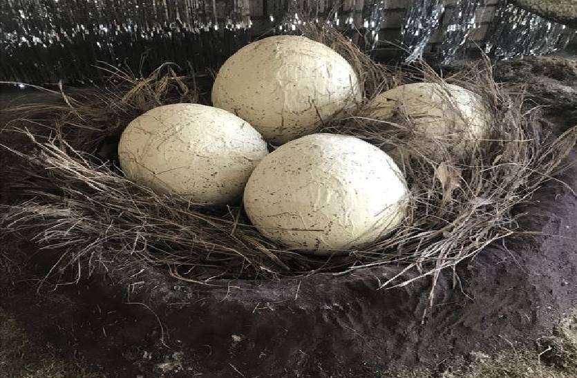 dinosaur_eggs_found_in_dhar_mp_in_research.jpg