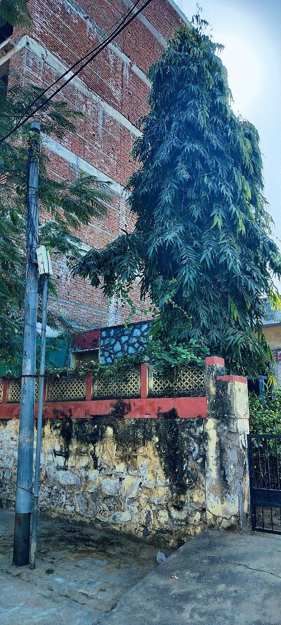 ऊंची इमारत से पड़ोसियों की घुट रहीं सांसें... दीवार खड़ी कर धूप भी खा गए